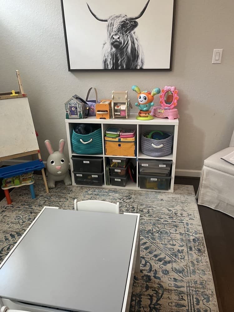 Toy Storage Solutions
